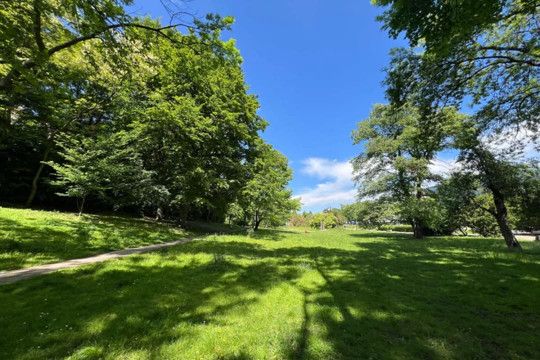 Natural Beauty Extravaganza