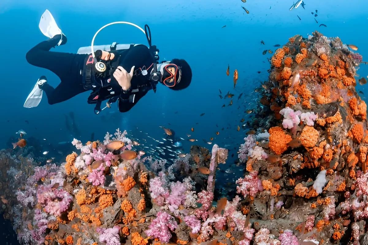 Scuba Diving in the Andaman