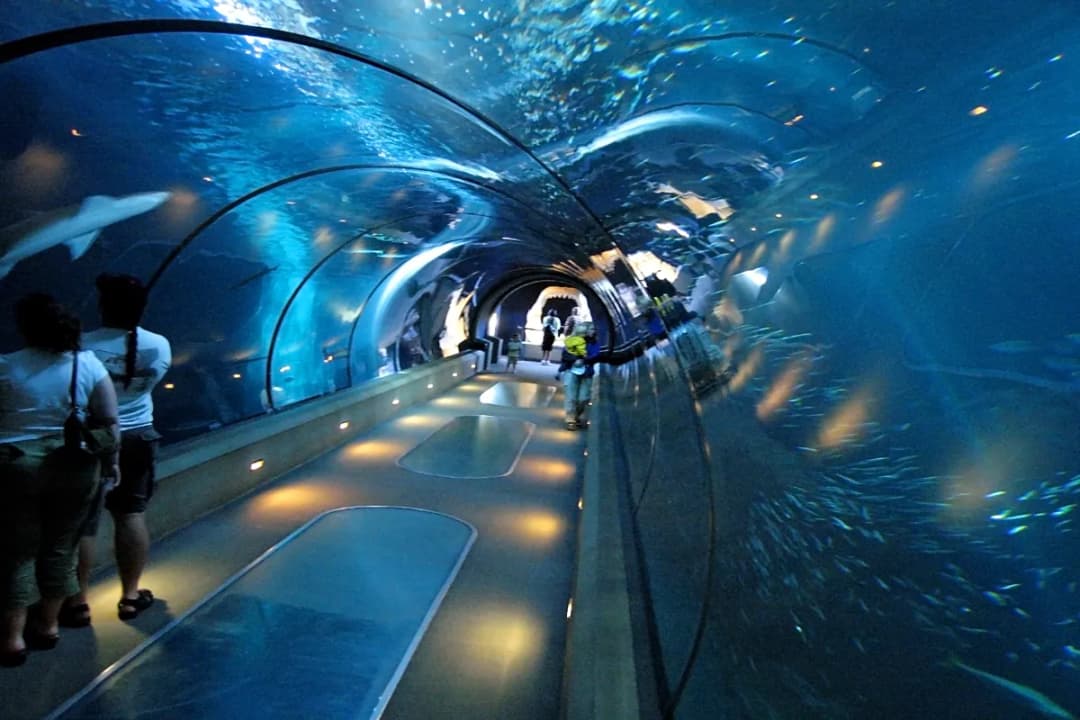 Oceanarium Tunnel
