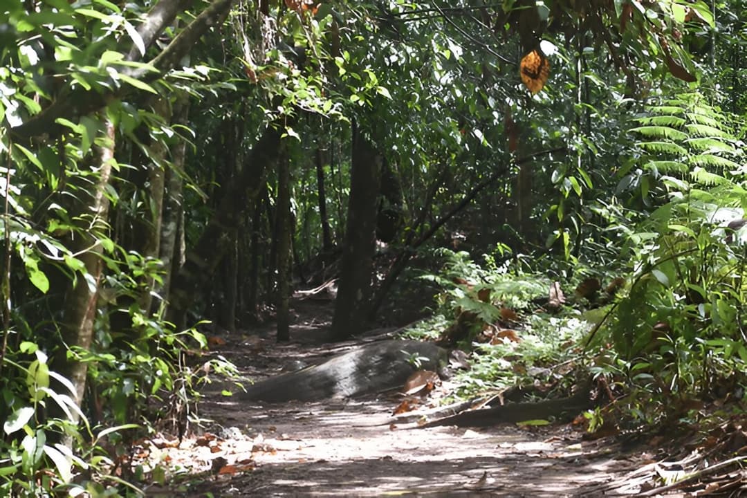 Biodiversity Hotspot