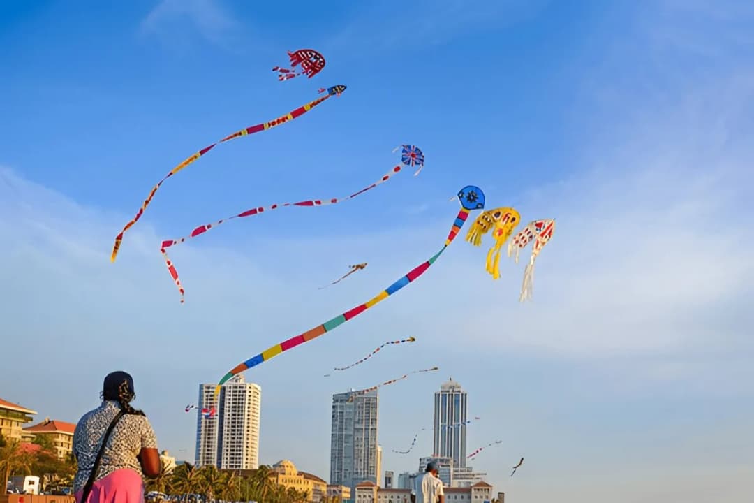 Kite Flying