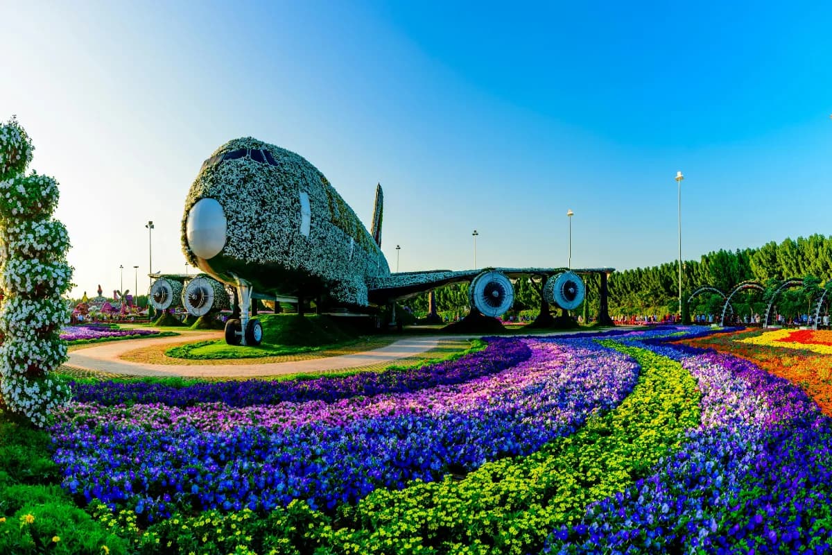 Miracle Garden