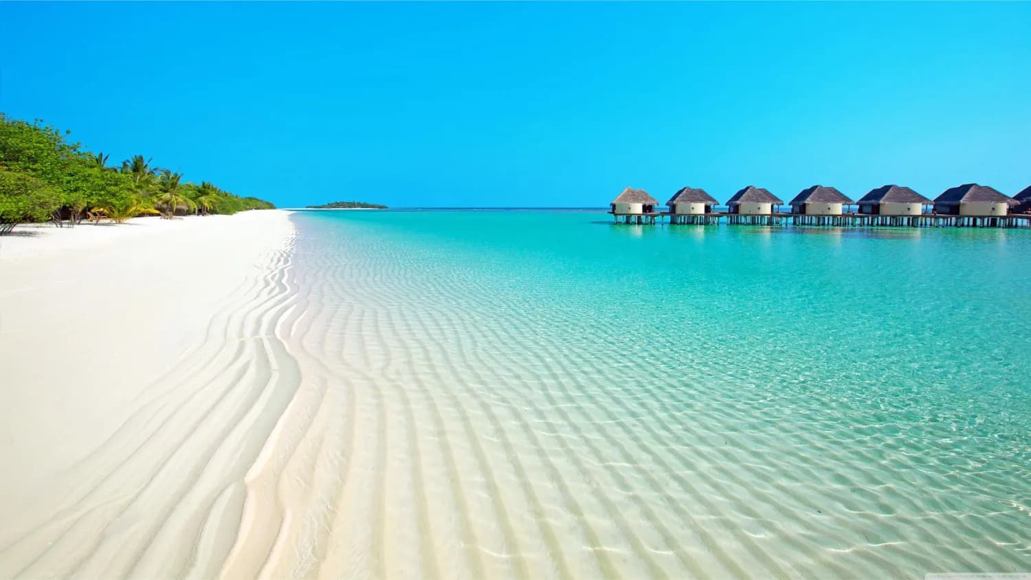 Lakshadweep Retreat