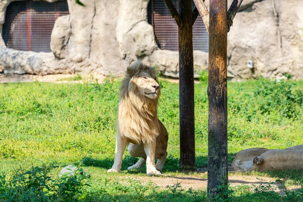 Dubai Safari Park