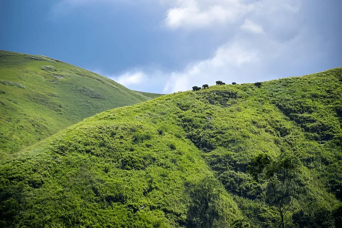 Parunthumpara View Point