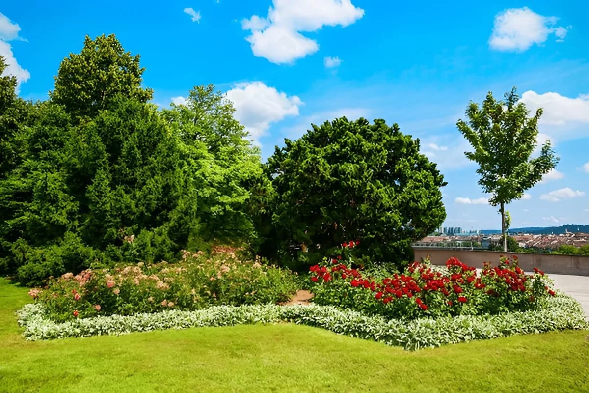 Rosengarten Bern