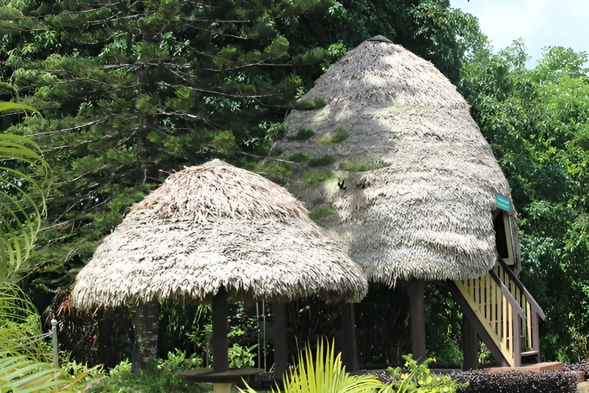 Mount Harriet National Park