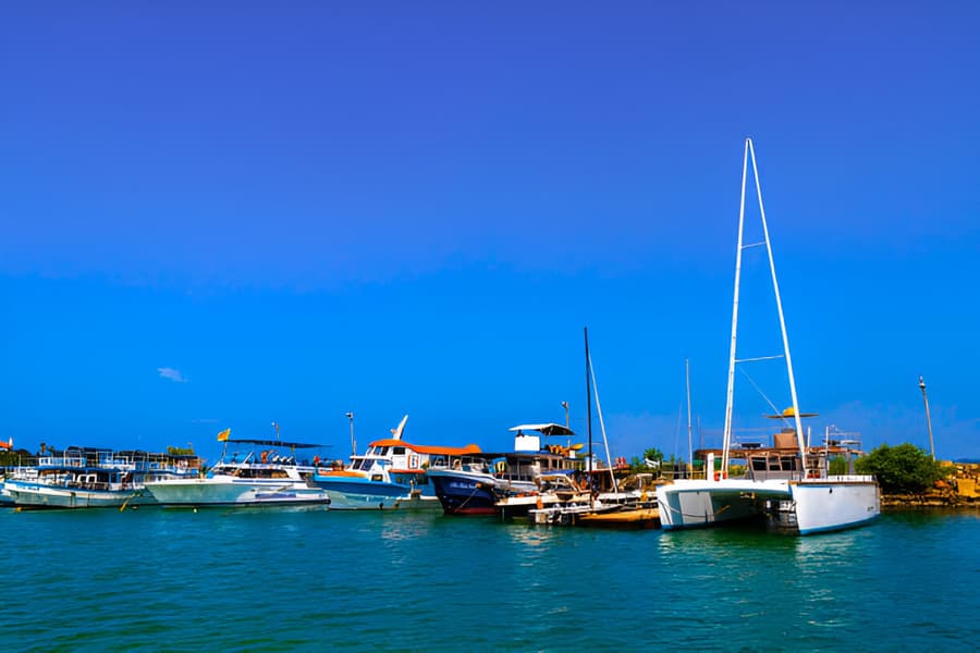 Fishery Port