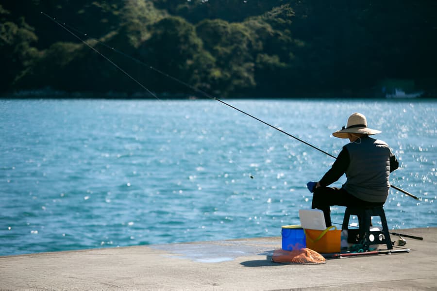 Try Fishing in Rohru
