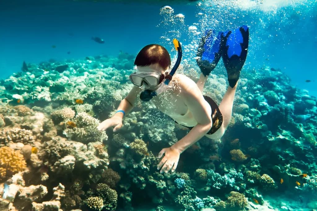 Snorkeling