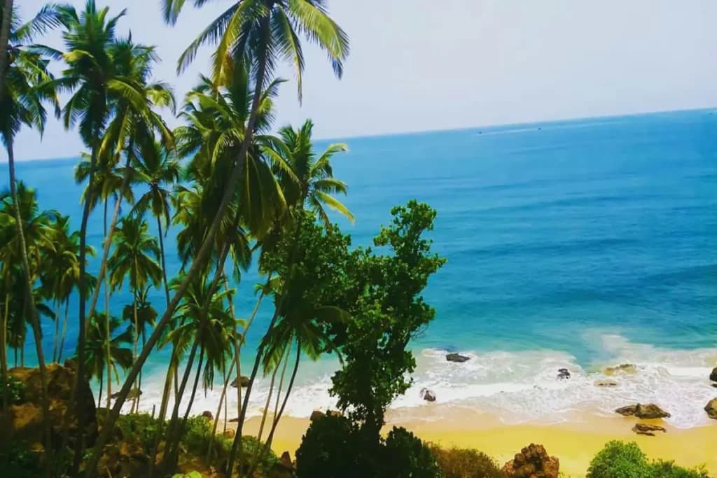 Rajbagh Beach
