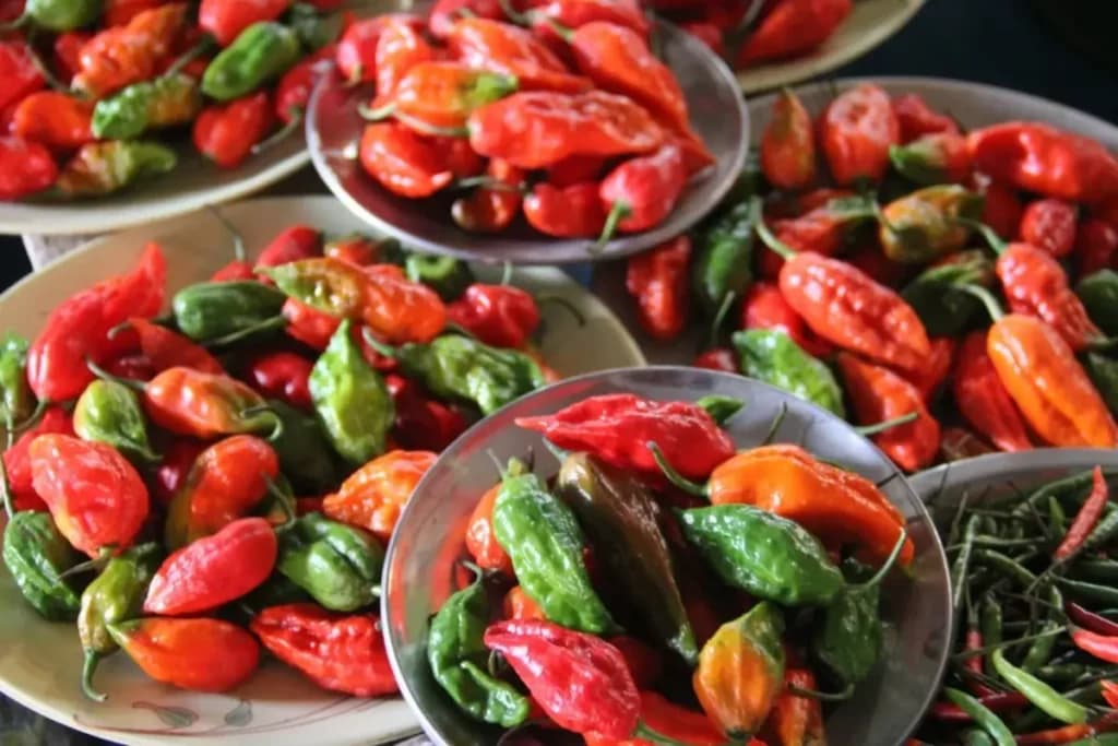 Bhut Jolokia (Ghost Pepper) Products