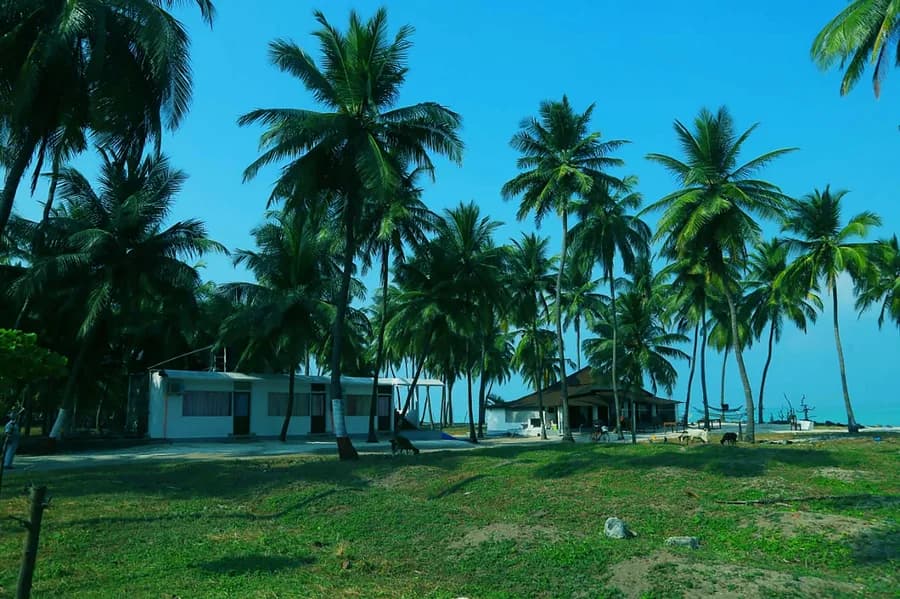 Turtle Nest Resort