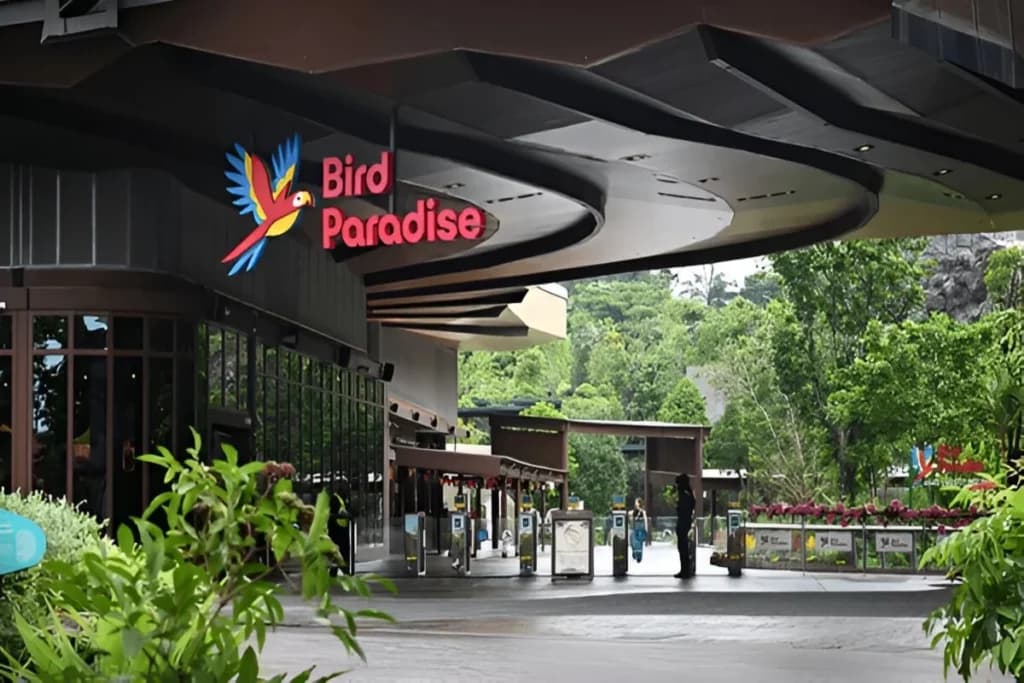 Bird Paradise