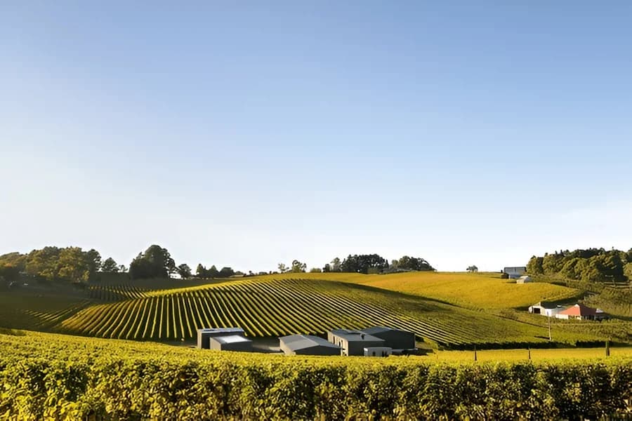 Barossa Valley