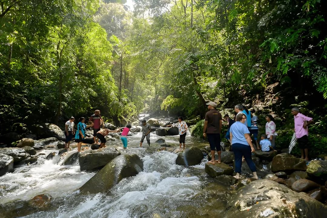 Stream Crossings & Waterfalls
