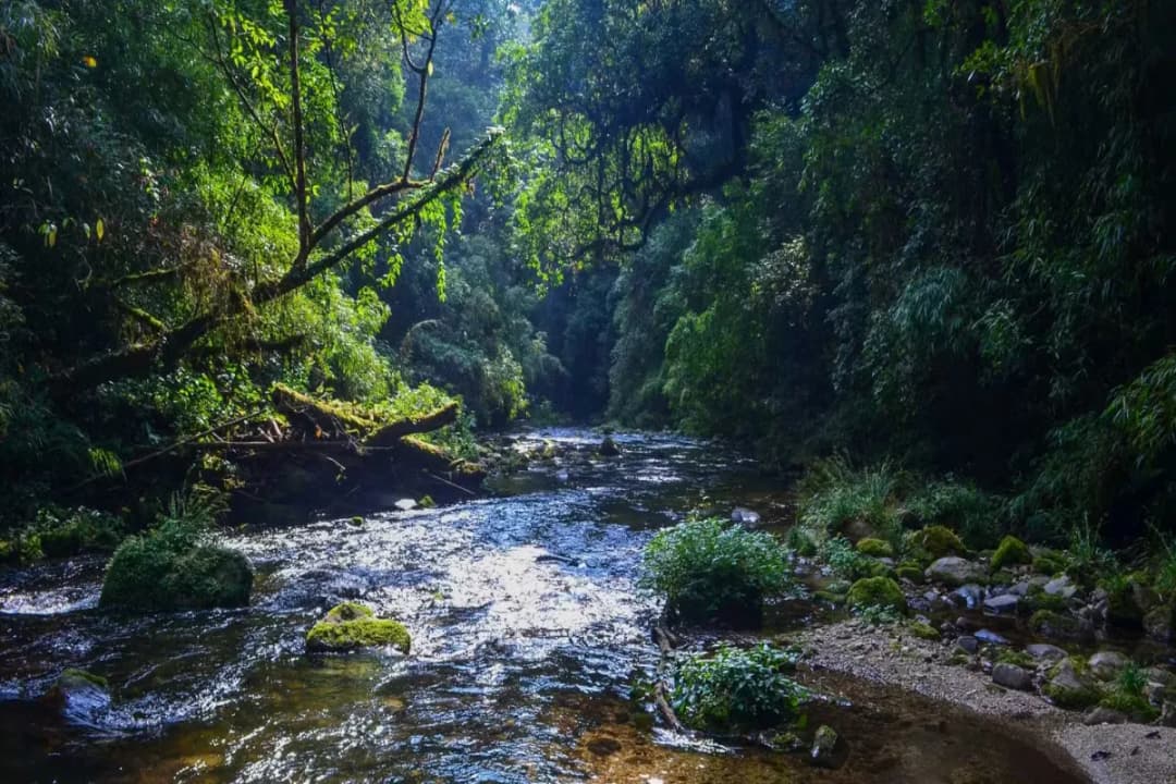 Talley Valley Wildlife Sanctuary