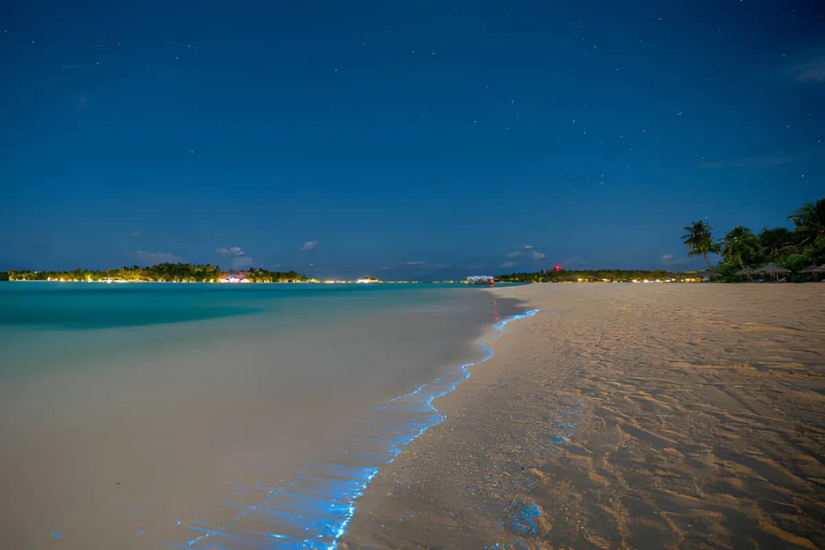 Maldives Glowing Beach