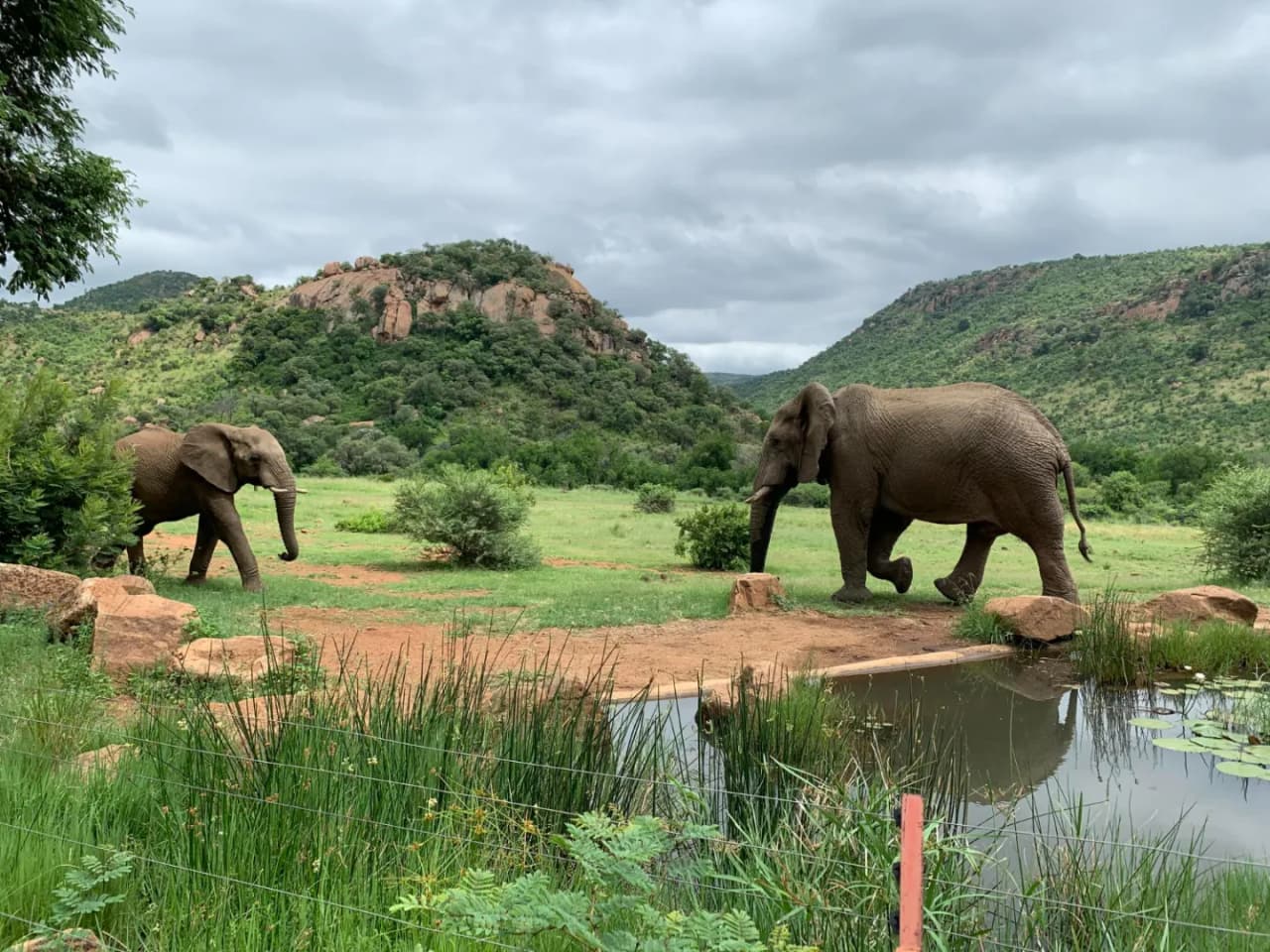 Marvels of Kerala with Alappuzha Beach