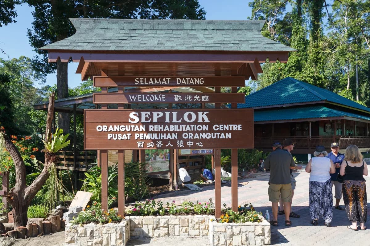 Sepilok Orangutan Rehabilitation Centre