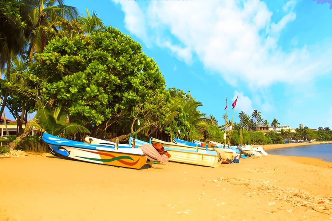 Bentota River Safari