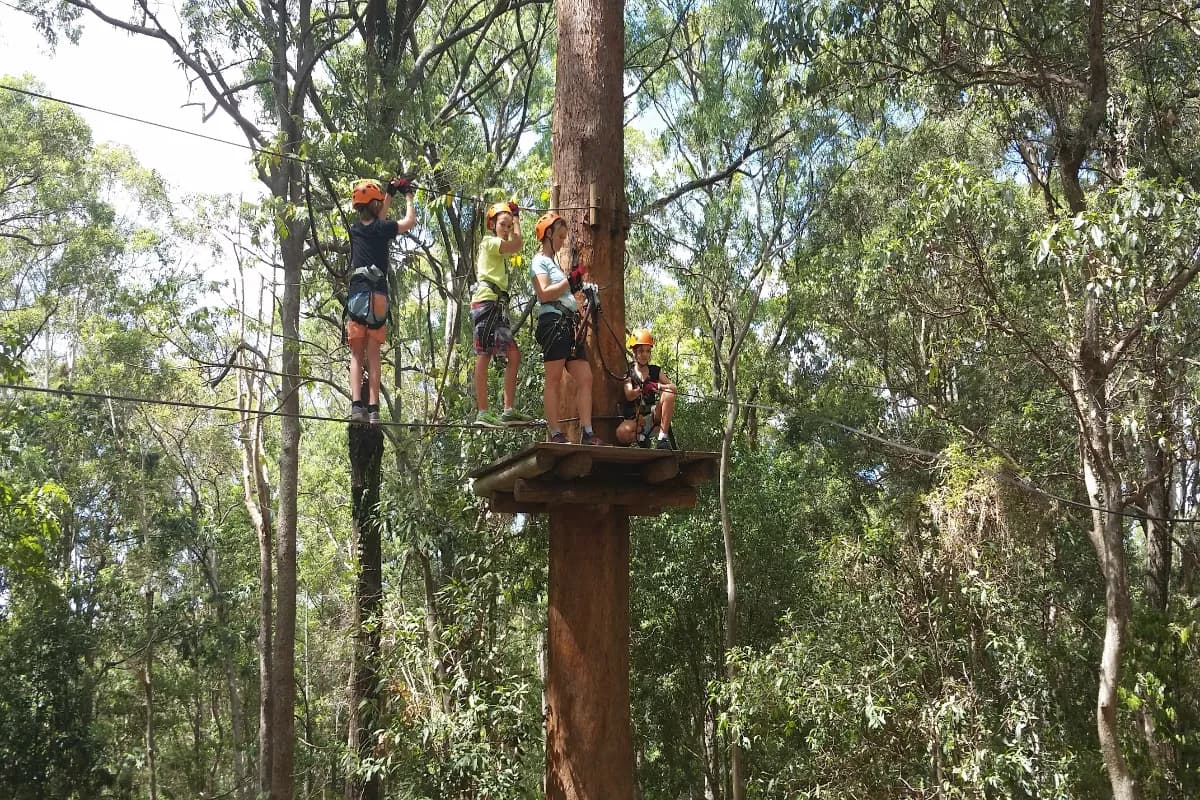 currumbin wildlife sanctuary