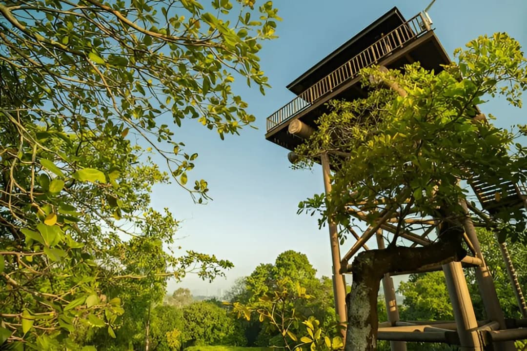 Forest Watchtower