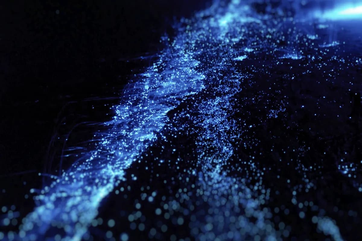 Maldives Glowing Beach
