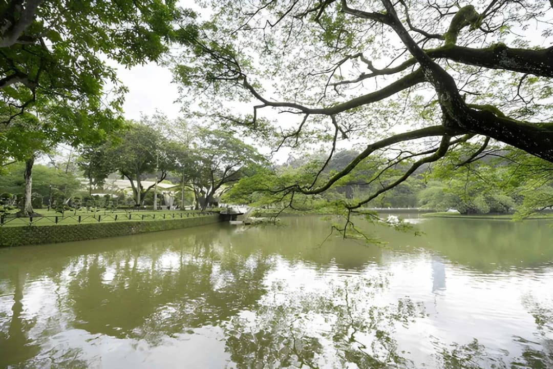 Peaceful Lake Experience