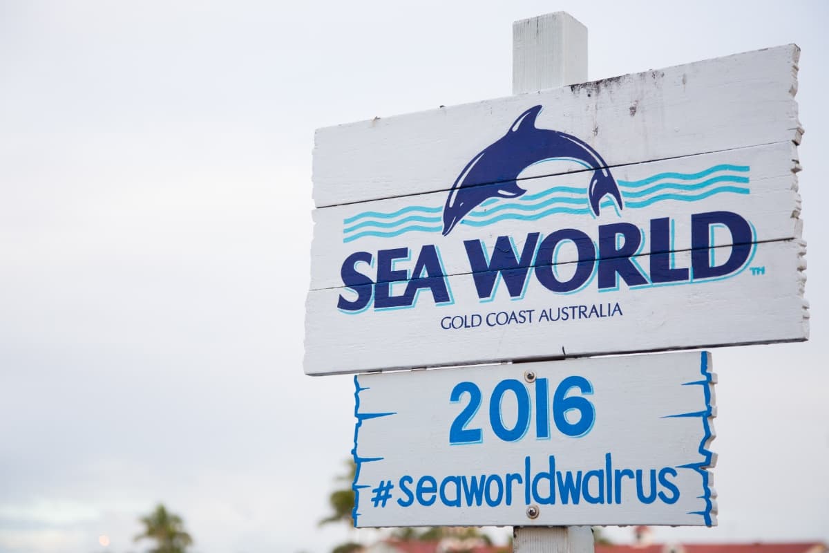 Sea World Gold Coast