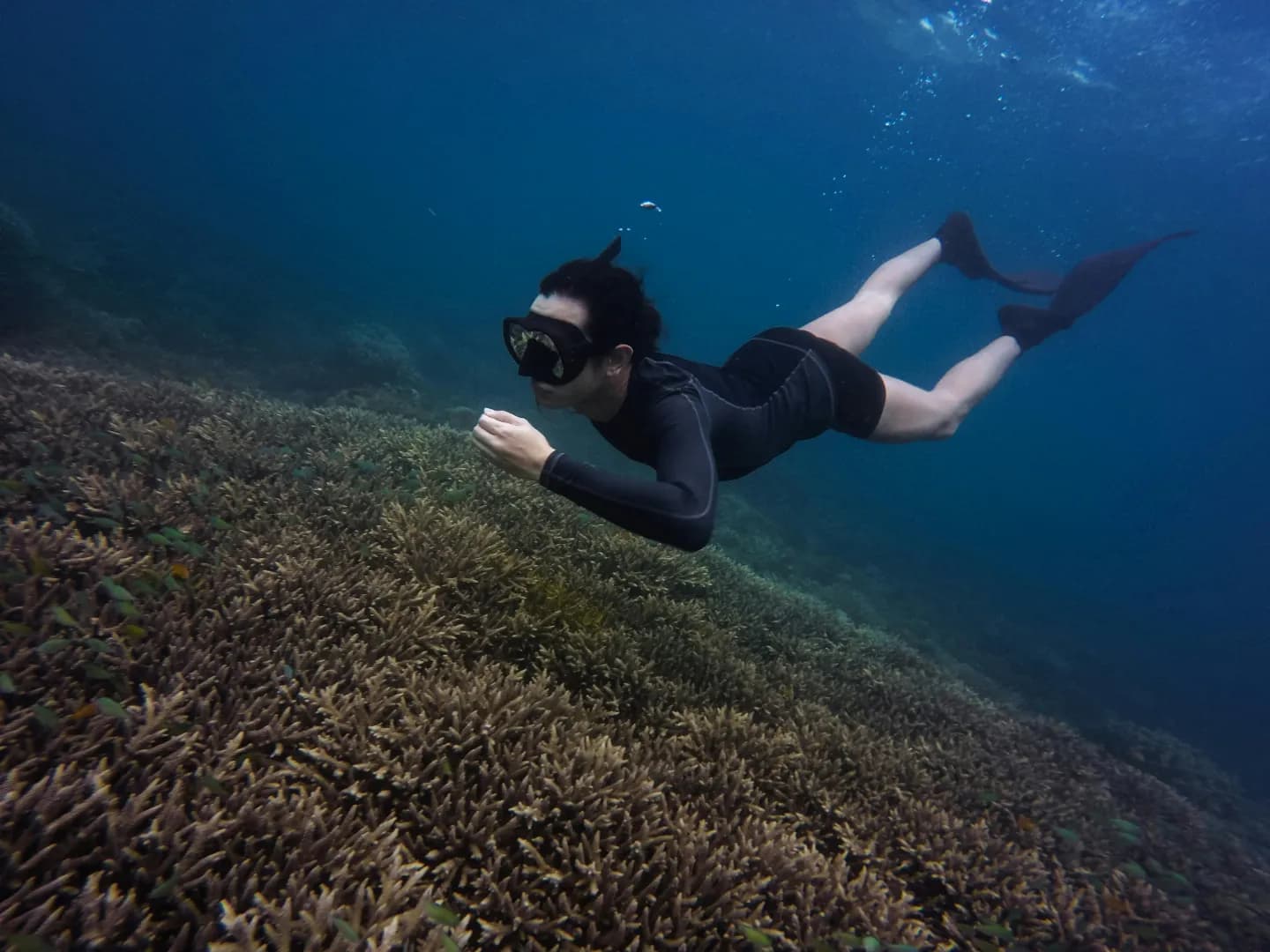 snorkeling at malaysia