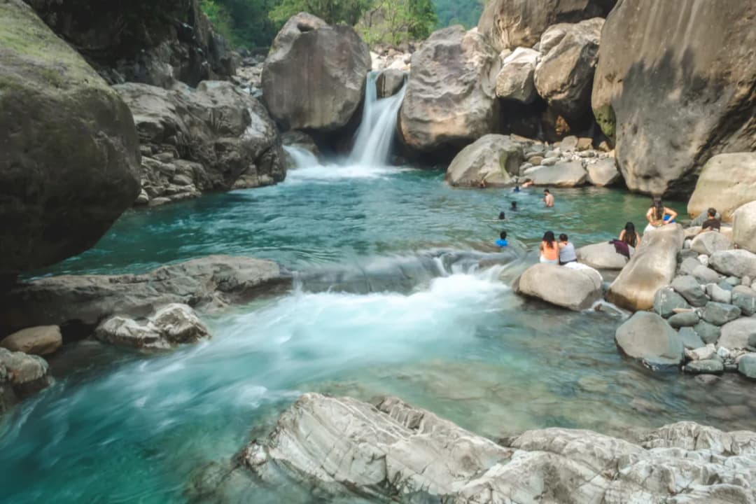 Natural Swimming Pools