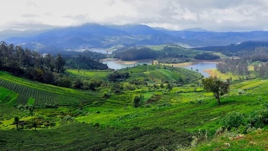 Exploring 10 Scenic Road Trips from Bengaluru Under 10 Hours