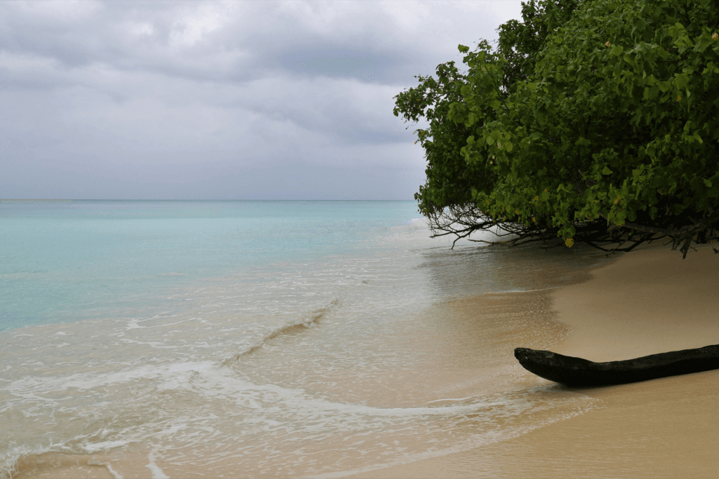 Explore Andaman: Budget-friendly Family Tour Packages to Port Blair, Havelock & Neil