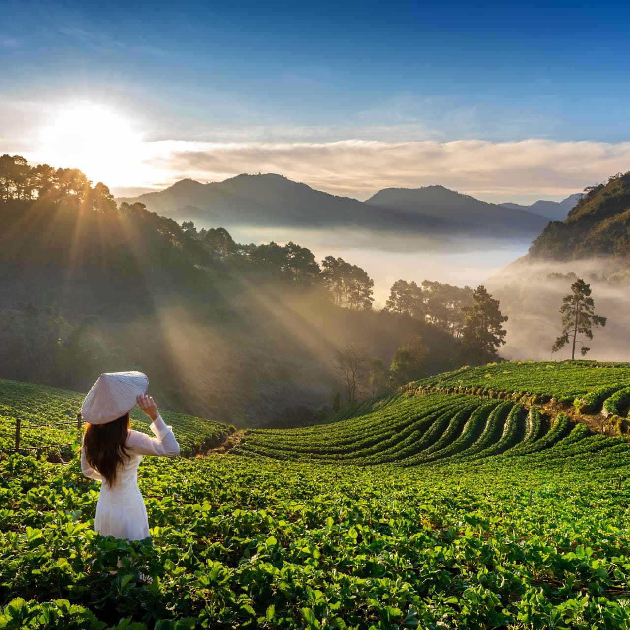 Explore Chikmagalur in Karnataka: The Coffee Paradise That Will Elevate Your Travel Experience