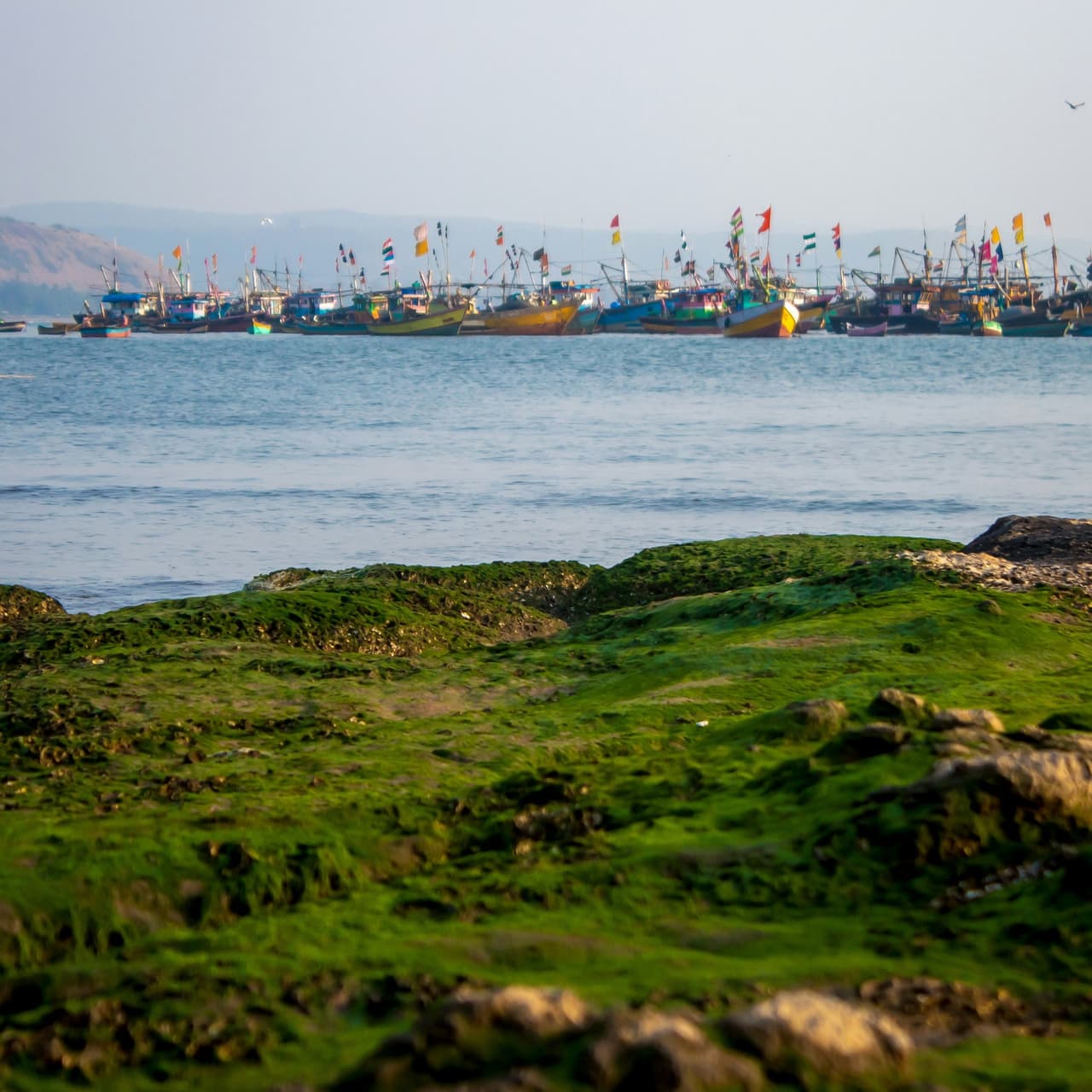 Konkan Trip for Family: Family Vacation Special Guide