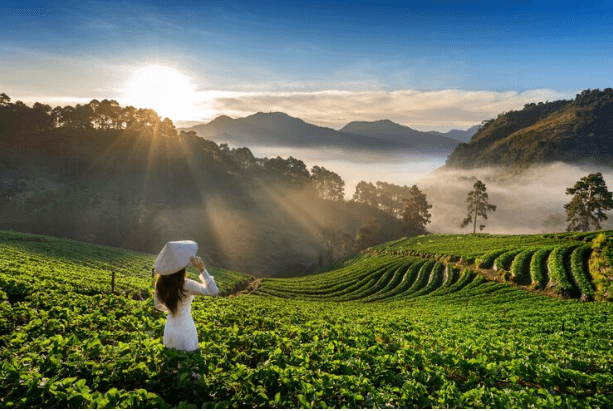 Why Munnar is Called the Kashmir of South India for a Scenic Journey