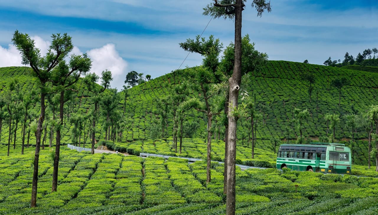 Konkan Packages for Family: Back to Nature, Experience Cultures and Get the Adventure!