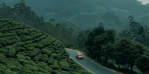 Explore the Cheapest Kerala Tour Packages for Family | Here’s How to Make It Happen!