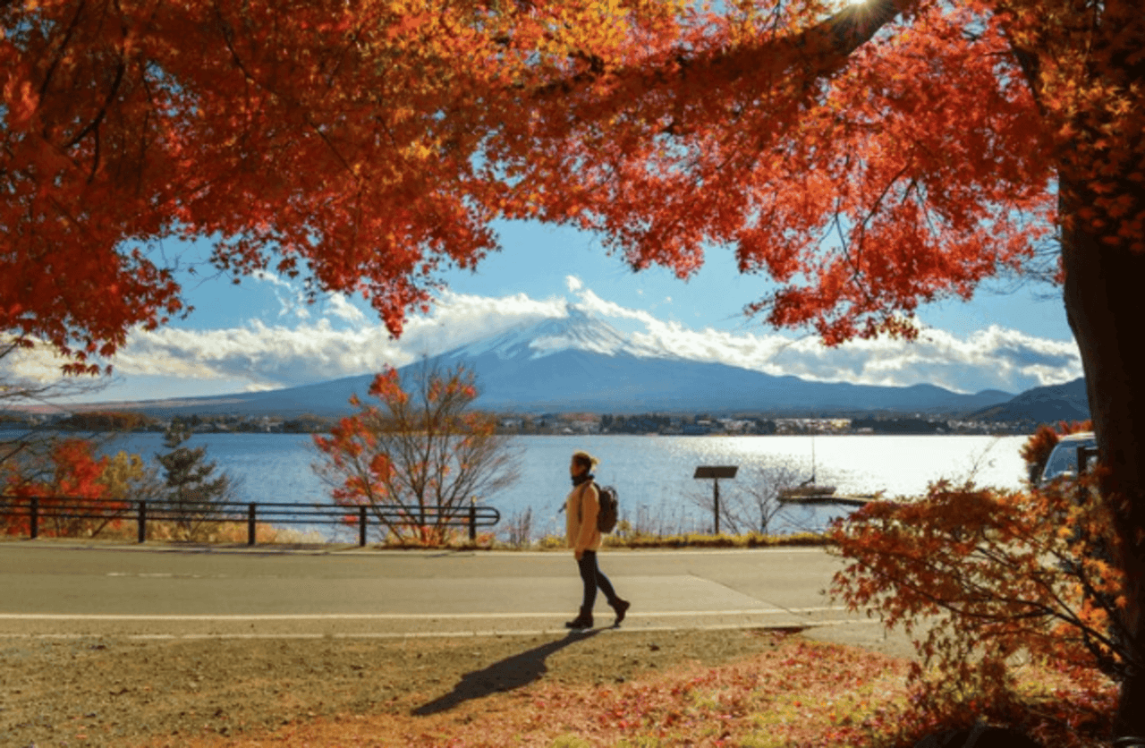 Hiking in Tokyo: 5 Entrancing Paths That Will Leave Hikers Awestruck