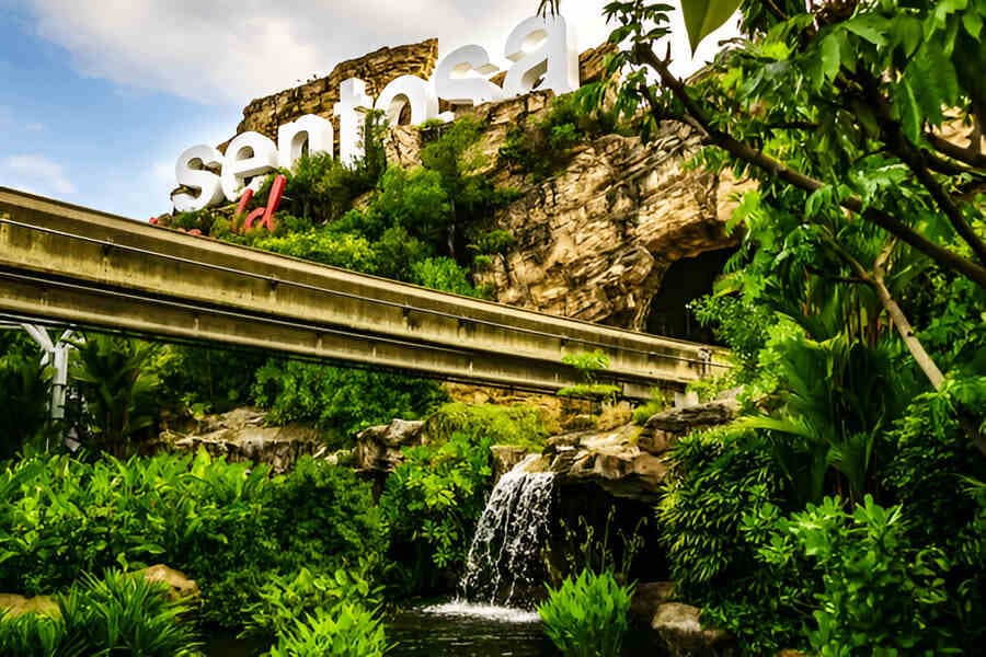 Adventure Cove Waterpark