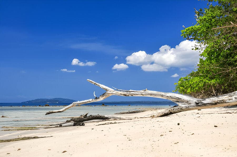 places to visit in Andaman - Elephant Beach