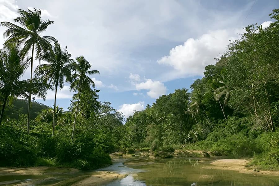 Sinharaja Forest Reserve