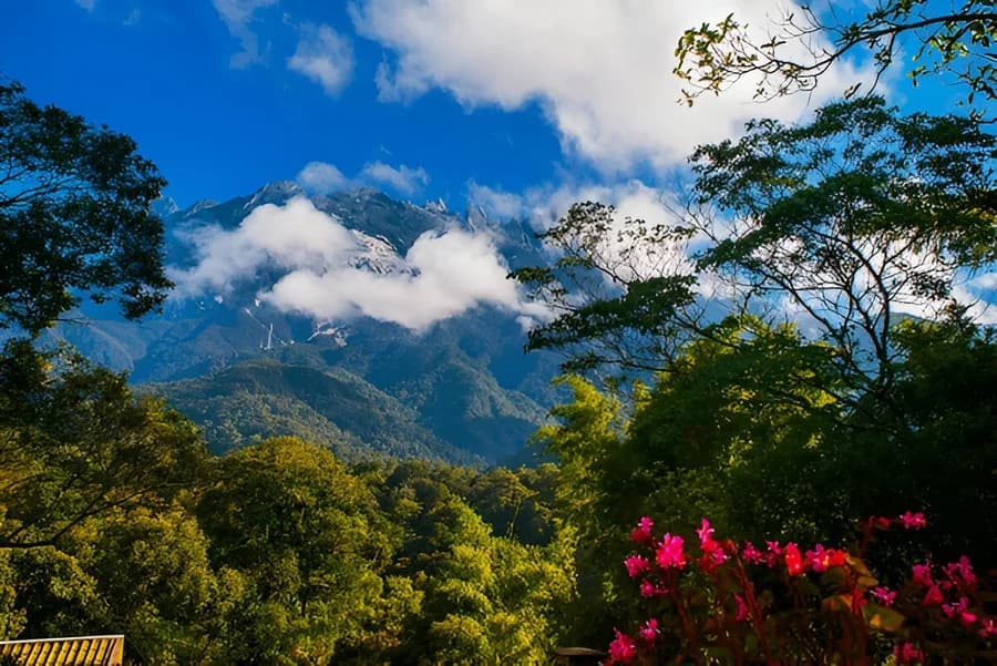 Kinabalu National Park