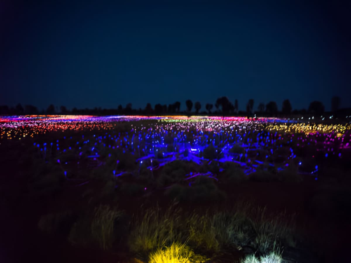 Uluru’s Field Of Light