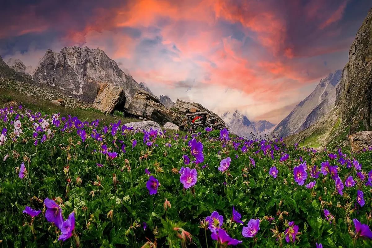 Valley of Flowers