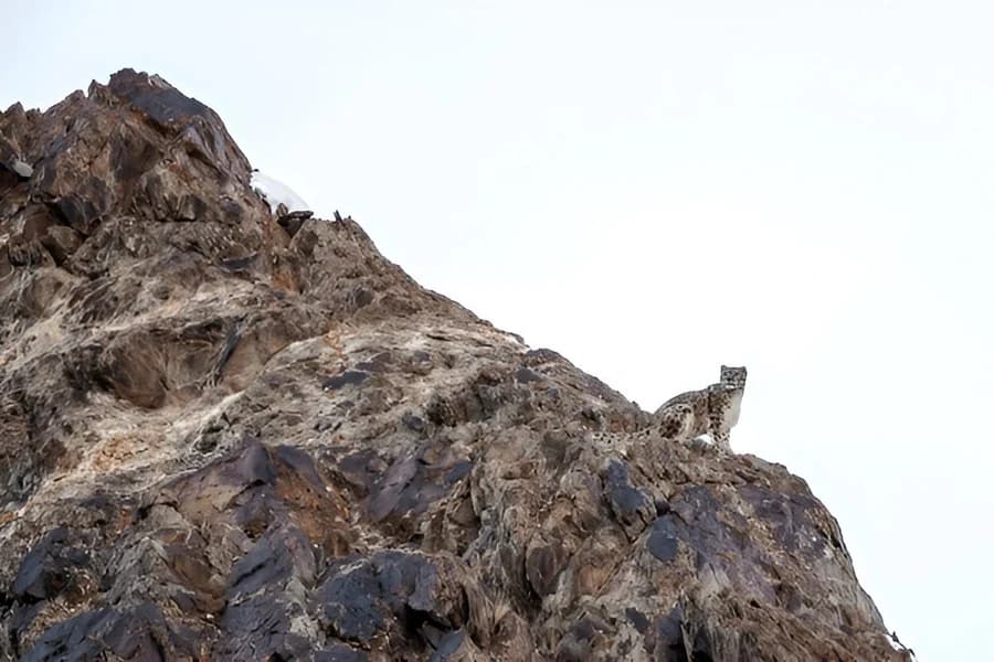 Leh Ladakh in Winter