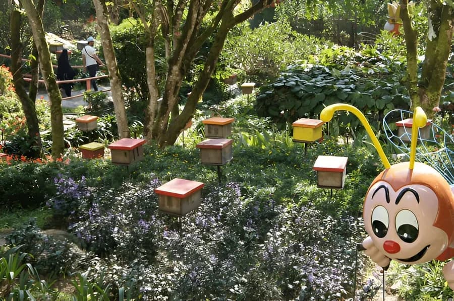 Buzzing Adventures at the Honey Bee Farm