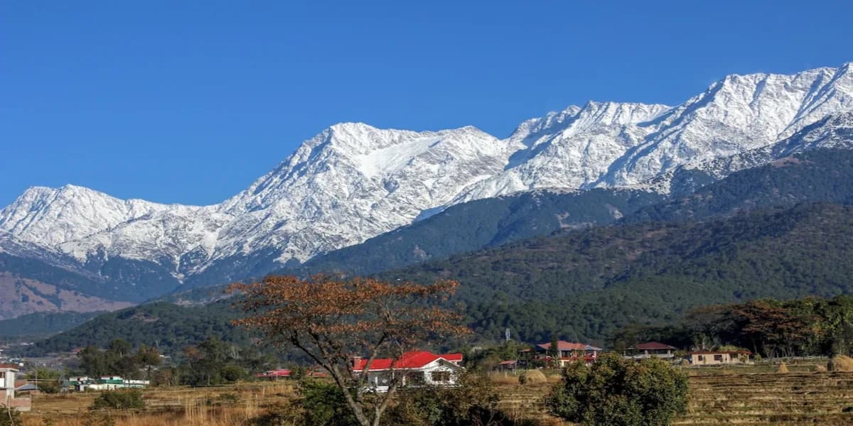 Palampur, Himachal Pradesh