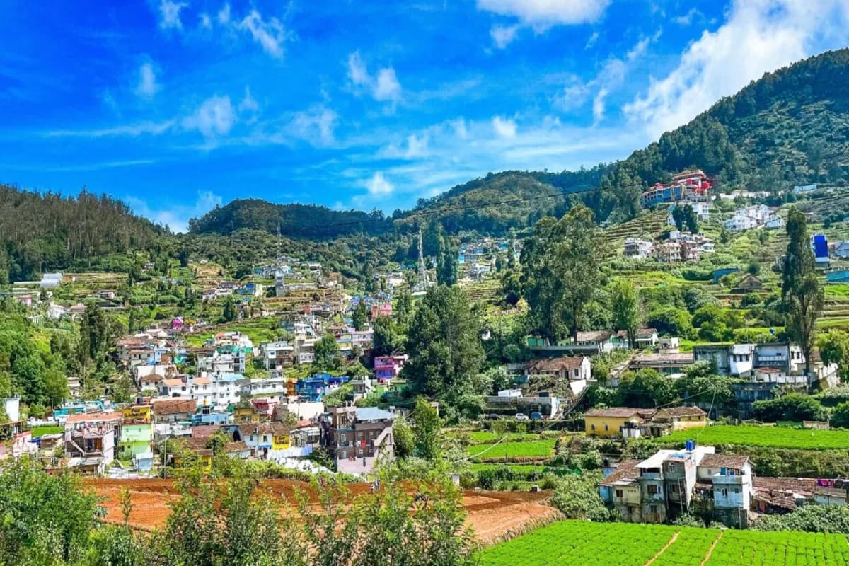 Ooty, Tamil Nadu